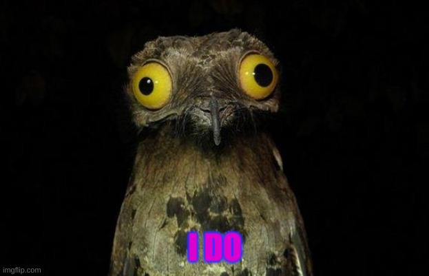 Weird Stuff I Do Potoo Meme | I DO | image tagged in memes,weird stuff i do potoo | made w/ Imgflip meme maker