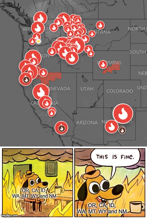 wildfires | OR, CA, ID, WA, MT, WY and NM; OR, CA, ID, WA, MT, WY and NM | image tagged in memes,this is fine | made w/ Imgflip meme maker