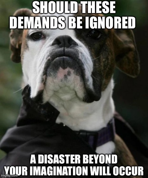 The Phantom of the Puppera |  SHOULD THESE DEMANDS BE IGNORED; A DISASTER BEYOND YOUR IMAGINATION WILL OCCUR | image tagged in boxer,phantom of the opera,pupper,musical,broadway,doggo | made w/ Imgflip meme maker