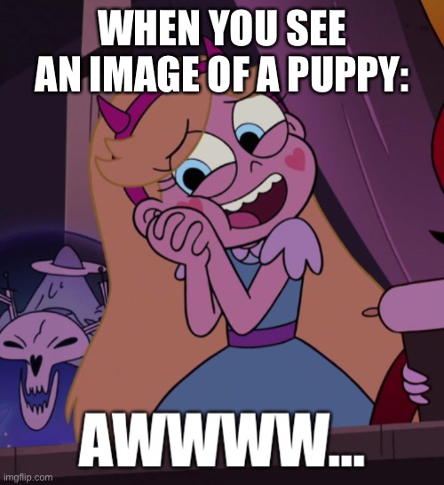 Star Butterfly “Awwwww…” | WHEN YOU SEE AN IMAGE OF A PUPPY: | image tagged in star butterfly awwwww,memes,puppy,puppies,aww,cute | made w/ Imgflip meme maker