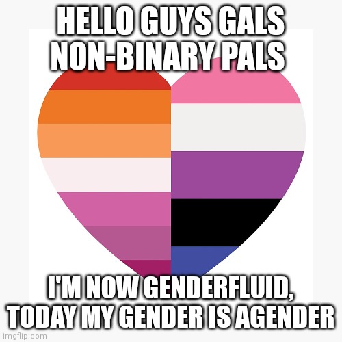 HELLO GUYS GALS NON-BINARY PALS; I'M NOW GENDERFLUID, TODAY MY GENDER IS AGENDER | made w/ Imgflip meme maker