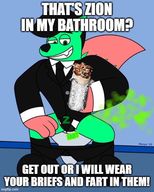 Zion in my bathroom | THAT'S ZION IN MY BATHROOM? FART; GET OUT OR I WILL WEAR YOUR BRIEFS AND FART IN THEM! | image tagged in zionnnnnn,toilet,fart,briefs,burrito | made w/ Imgflip meme maker