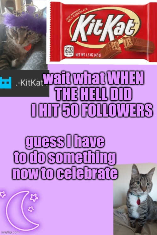 Kittys announcement template kitkat addition | wait what WHEN THE HELL DID I HIT 50 FOLLOWERS; guess I have to do something now to celebrate | image tagged in kittys announcement template kitkat addition | made w/ Imgflip meme maker