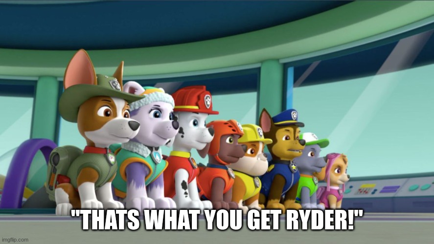 All 8 PAW Patrol Pups At The Lookout | "THATS WHAT YOU GET RYDER!" | image tagged in all 8 paw patrol pups at the lookout | made w/ Imgflip meme maker