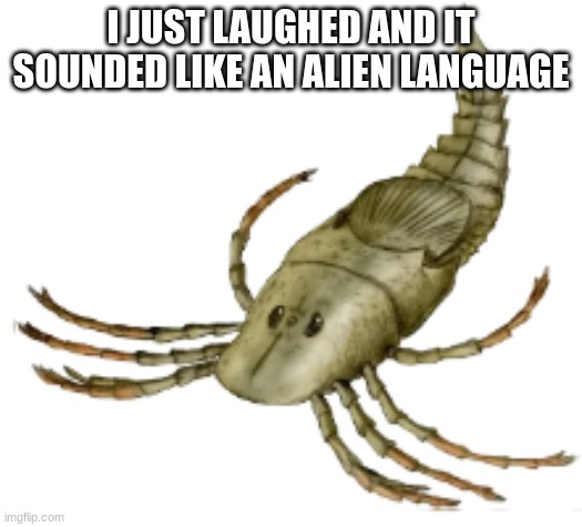 Megarachne | I JUST LAUGHED AND IT SOUNDED LIKE AN ALIEN LANGUAGE | image tagged in megarachne | made w/ Imgflip meme maker