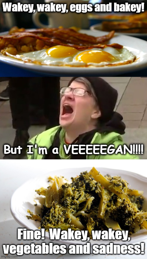 Don't let the liberals swap bugs in for your eggs and bacon! | Wakey, wakey, eggs and bakey! But I'm a VEEEEEGAN!!!! Fine!  Wakey, wakey, vegetables and sadness! | image tagged in screaming liberal,liberal logic,vegan logic | made w/ Imgflip meme maker