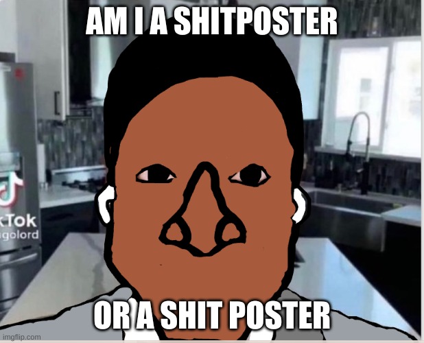 n | AM I A SHITPOSTER; OR A SHIT POSTER | image tagged in n | made w/ Imgflip meme maker