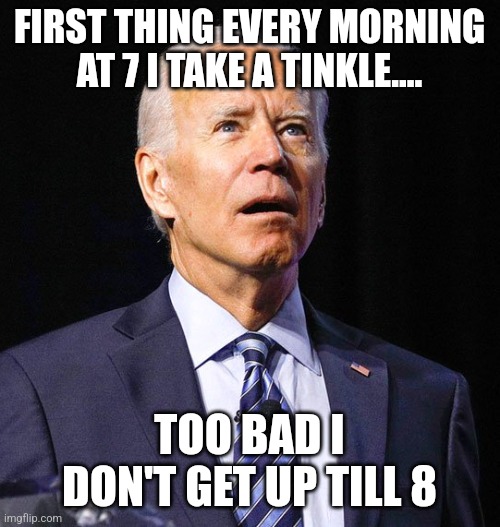 Joe Biden | FIRST THING EVERY MORNING AT 7 I TAKE A TINKLE.... TOO BAD I DON'T GET UP TILL 8 | image tagged in joe biden | made w/ Imgflip meme maker