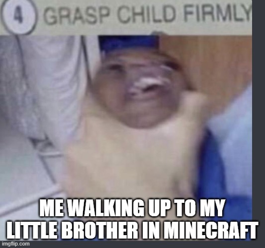 me playing minecraft with my little bro | ME WALKING UP TO MY LITTLE BROTHER IN MINECRAFT | image tagged in grasp child firmly | made w/ Imgflip meme maker