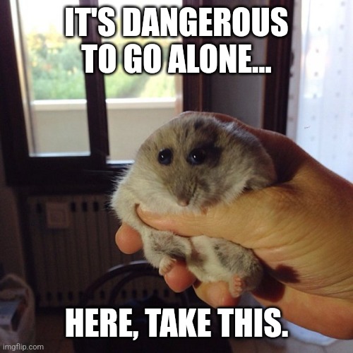 Good luck, Adventurer. | IT'S DANGEROUS TO GO ALONE... HERE, TAKE THIS. | image tagged in the original hampter | made w/ Imgflip meme maker