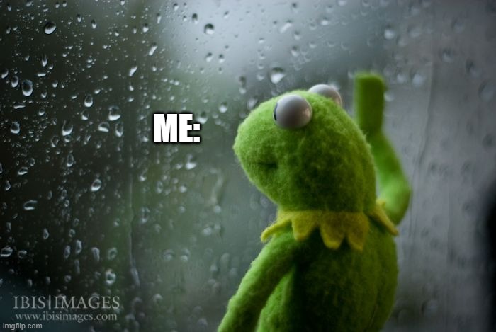 kermit window | ME: | image tagged in kermit window | made w/ Imgflip meme maker