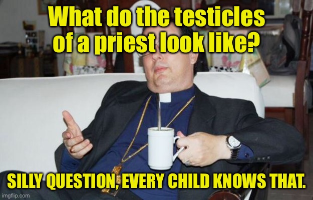 Priest’s privates | What do the testicles of a priest look like? SILLY QUESTION, EVERY CHILD KNOWS THAT. | image tagged in sleazy priest,privates,look like,stupid question,children know,dark humour | made w/ Imgflip meme maker