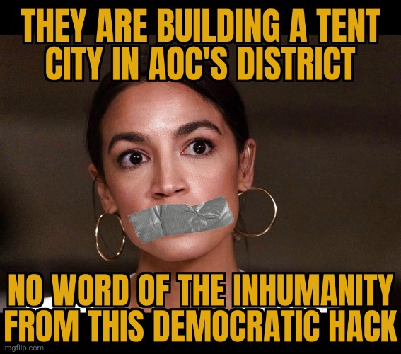 "I ONLY GASLIGHT IN TEXAS" | image tagged in aoc,hack,democratic gaslight,never cared | made w/ Imgflip meme maker