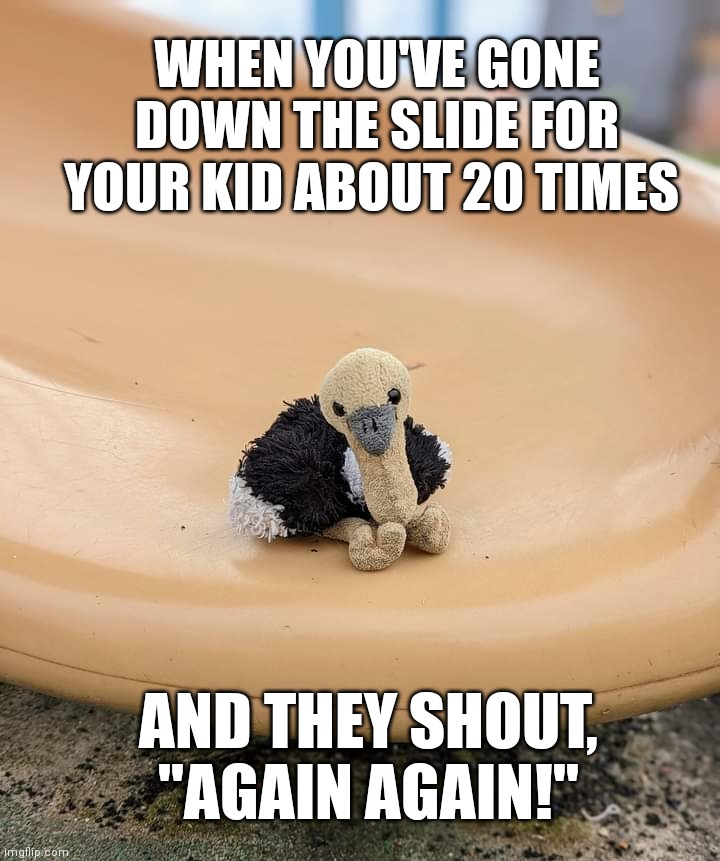 Parenting... A blessing but also draining! | WHEN YOU'VE GONE DOWN THE SLIDE FOR YOUR KID ABOUT 20 TIMES; AND THEY SHOUT, "AGAIN AGAIN!" | image tagged in parenting,parenting at the park,life choices | made w/ Imgflip meme maker