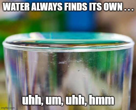 water always finds its own level? | WATER ALWAYS FINDS ITS OWN . . . uhh, um, uhh, hmm | image tagged in flat earth,flat earthers,water,science,conspiracy theories | made w/ Imgflip meme maker