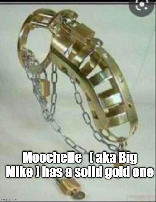 Moochelle   ( aka Big Mike ) has a solid gold one | made w/ Imgflip meme maker