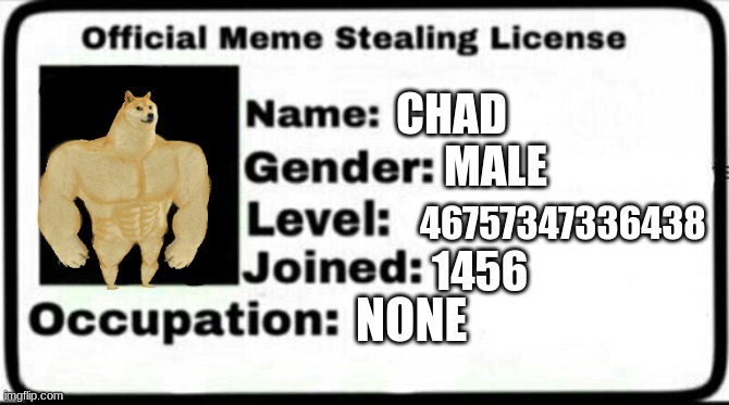 Meme Stealing License | CHAD; MALE; 46757347336438; 1456; NONE | image tagged in meme stealing license | made w/ Imgflip meme maker
