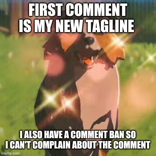 Zelda dog | FIRST COMMENT IS MY NEW TAGLINE; I ALSO HAVE A COMMENT BAN SO I CAN'T COMPLAIN ABOUT THE COMMENT | image tagged in zelda dog | made w/ Imgflip meme maker