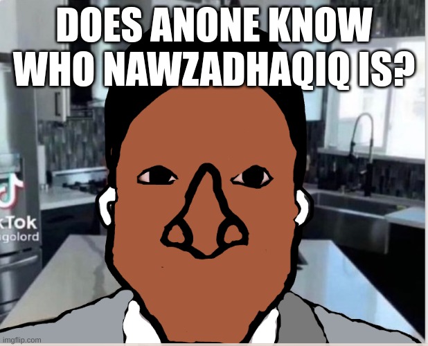 n | DOES ANONE KNOW WHO NAWZADHAQIQ IS? | image tagged in n | made w/ Imgflip meme maker