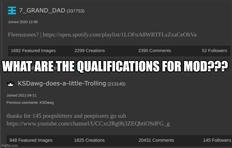 WHAT ARE THE QUALIFICATIONS FOR MOD??? | made w/ Imgflip meme maker