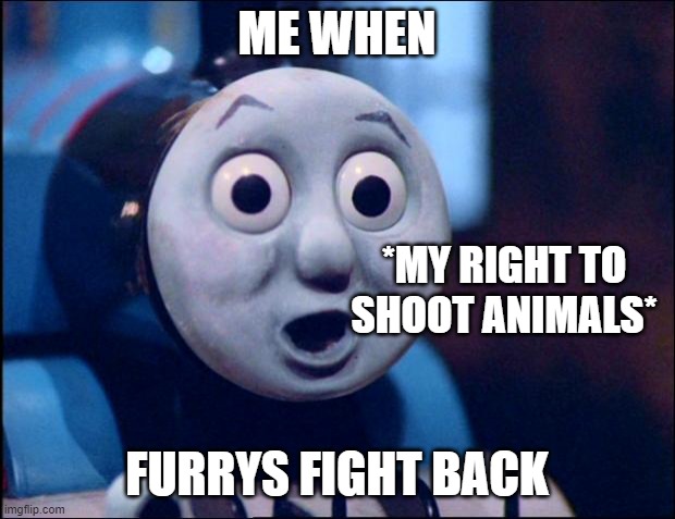 oh shit thomas | ME WHEN; *MY RIGHT TO SHOOT ANIMALS*; FURRYS FIGHT BACK | image tagged in oh shit thomas | made w/ Imgflip meme maker