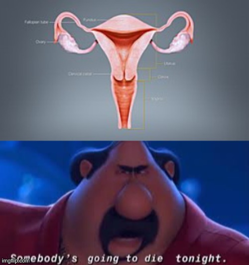 im gonna kill my uterus fr!!!! | image tagged in somebody's going to die tonight | made w/ Imgflip meme maker