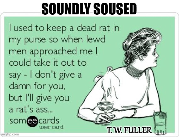 Soundly Soused 3 | SOUNDLY SOUSED; T. W. FULLER | image tagged in memes,funny memes,humor,alcoholic,drinking,funny | made w/ Imgflip meme maker