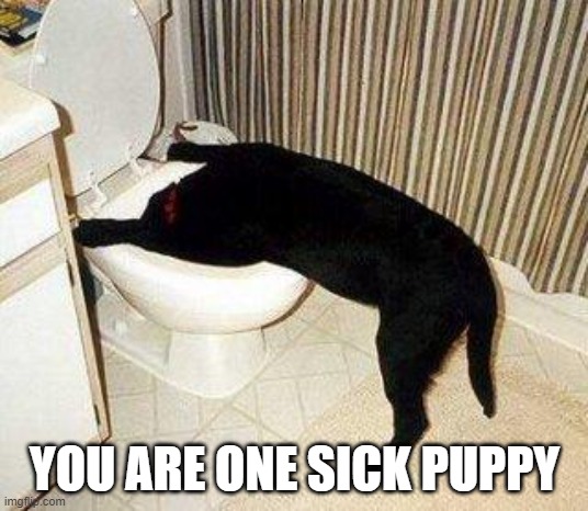 Sick Puppy | YOU ARE ONE SICK PUPPY | image tagged in sick puppy | made w/ Imgflip meme maker