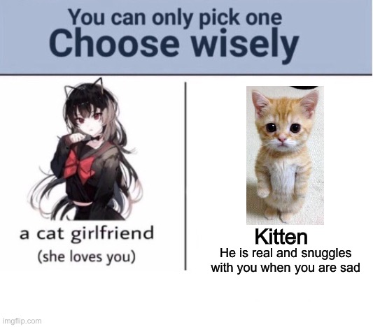 Choose wisely | Kitten; He is real and snuggles with you when you are sad | image tagged in choose wisely | made w/ Imgflip meme maker