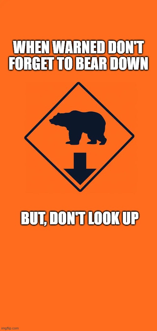 Bear Down | WHEN WARNED DON'T FORGET TO BEAR DOWN; BUT, DON'T LOOK UP | image tagged in don't,look,up | made w/ Imgflip meme maker