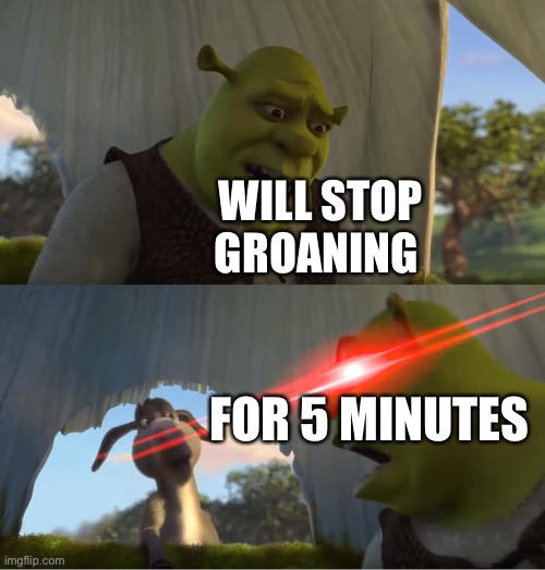 Shrek For Five Minutes | WILL STOP GROANING; FOR 5 MINUTES | image tagged in shrek for five minutes | made w/ Imgflip meme maker