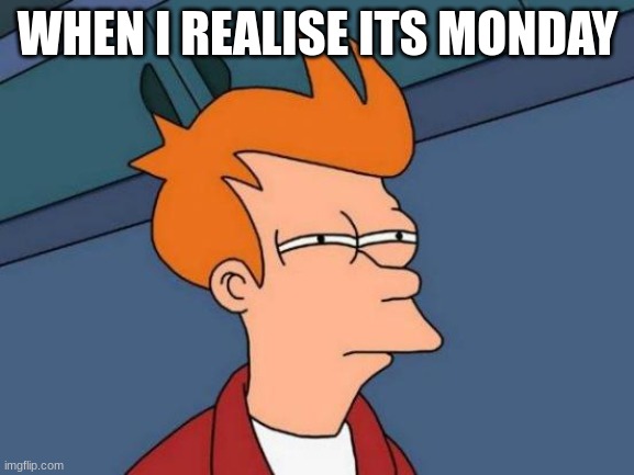 mondays suck | WHEN I REALISE ITS MONDAY | image tagged in memes,futurama fry | made w/ Imgflip meme maker