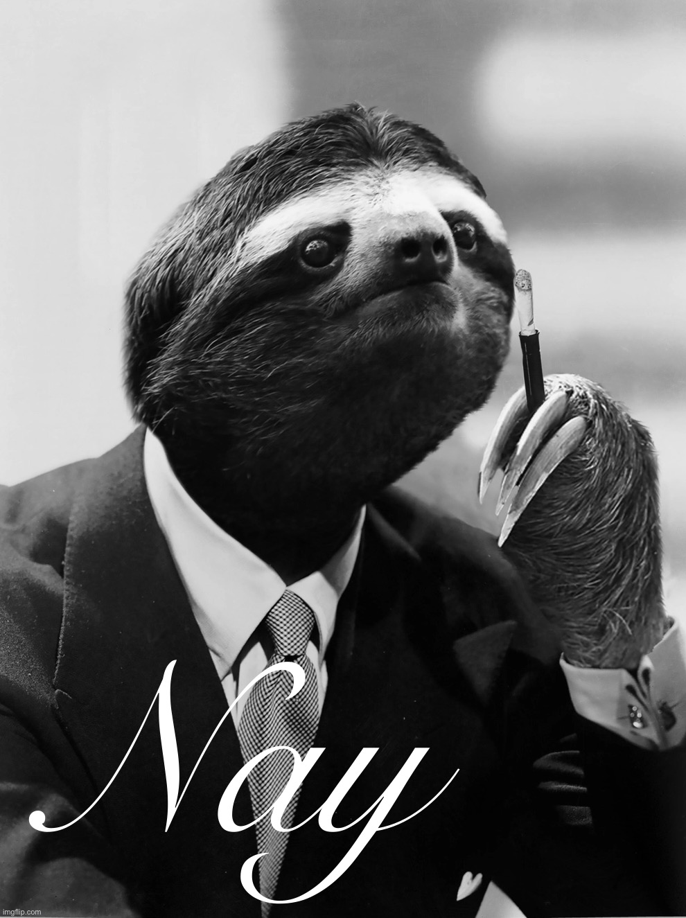 Gentleman sloth nay Blank Meme Template