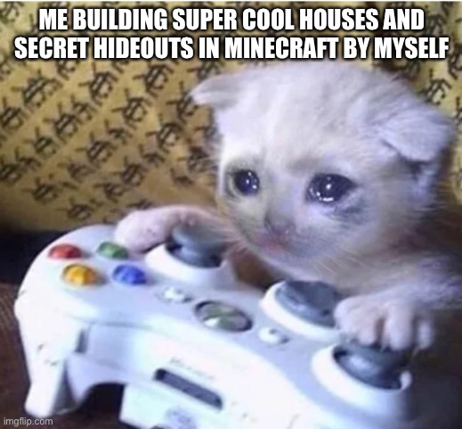 Sad gaming cat | ME BUILDING SUPER COOL HOUSES AND SECRET HIDEOUTS IN MINECRAFT BY MYSELF | image tagged in sad gaming cat | made w/ Imgflip meme maker