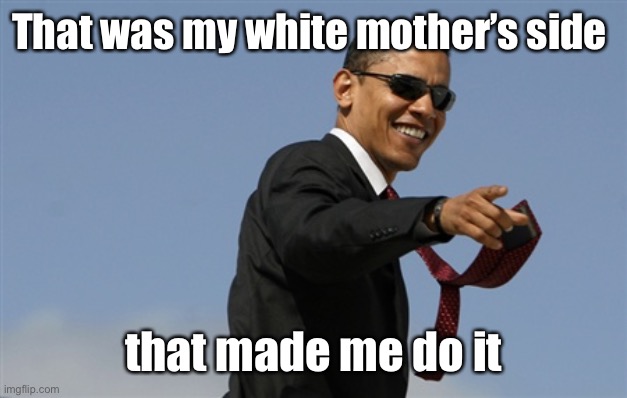 Cool Obama Meme | That was my white mother’s side that made me do it | image tagged in memes,cool obama | made w/ Imgflip meme maker