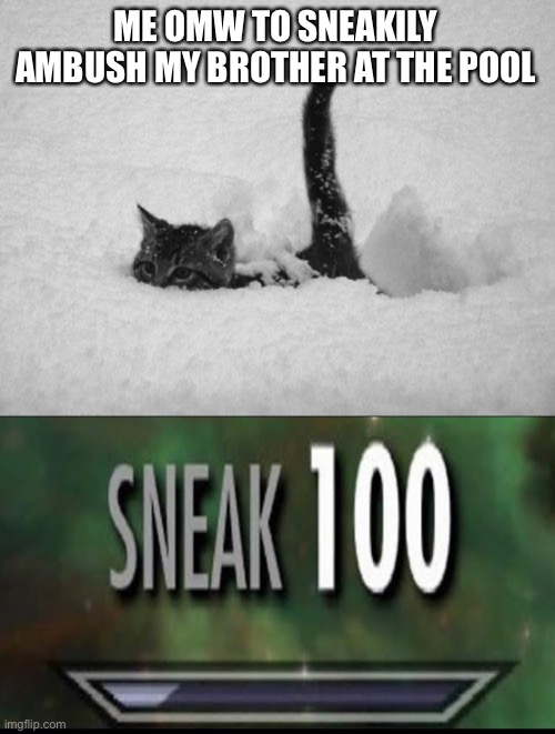 ME OMW TO SNEAKILY AMBUSH MY BROTHER AT THE POOL | image tagged in snow cat,sneak 100 | made w/ Imgflip meme maker