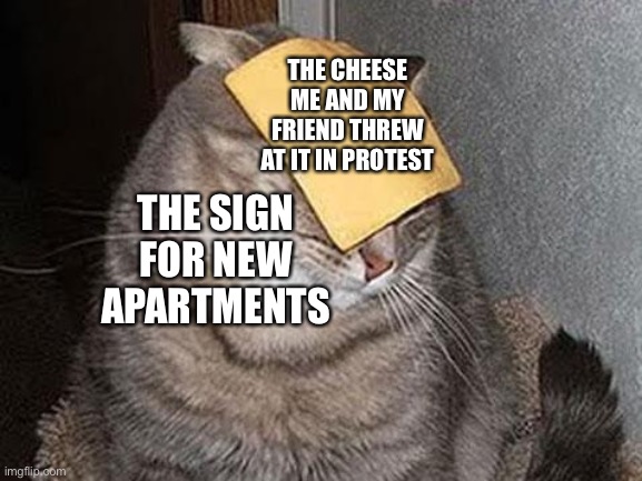 Cats with cheese | THE CHEESE ME AND MY FRIEND THREW AT IT IN PROTEST; THE SIGN FOR NEW APARTMENTS | image tagged in cats with cheese | made w/ Imgflip meme maker
