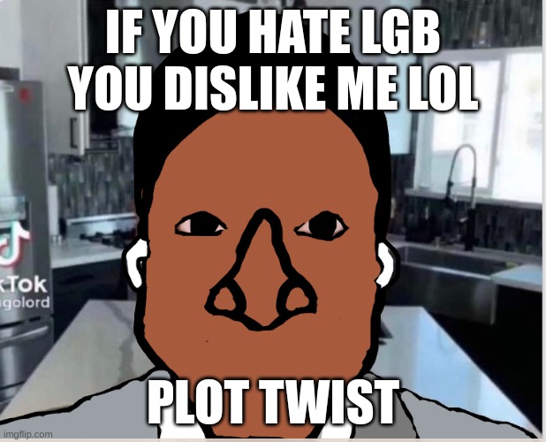 n | IF YOU HATE LGB YOU DISLIKE ME LOL; PLOT TWIST | image tagged in n | made w/ Imgflip meme maker