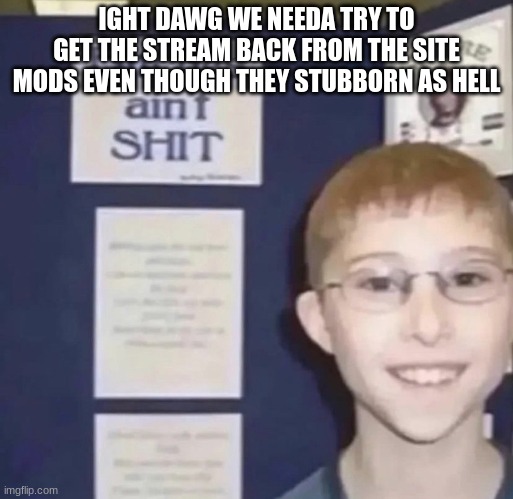 Bitches ain’t shit | IGHT DAWG WE NEEDA TRY TO GET THE STREAM BACK FROM THE SITE MODS EVEN THOUGH THEY STUBBORN AS HELL | image tagged in bitches ain t shit | made w/ Imgflip meme maker
