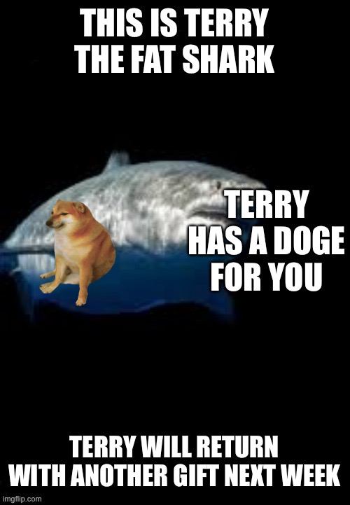 Terry the fat shark template | THIS IS TERRY THE FAT SHARK; TERRY HAS A DOGE FOR YOU; TERRY WILL RETURN WITH ANOTHER GIFT NEXT WEEK | image tagged in terry the fat shark template | made w/ Imgflip meme maker