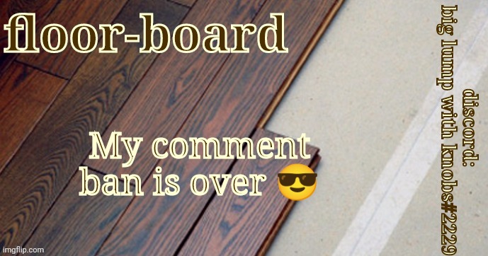 My comment ban is over 😎 | image tagged in honestly floorboards | made w/ Imgflip meme maker