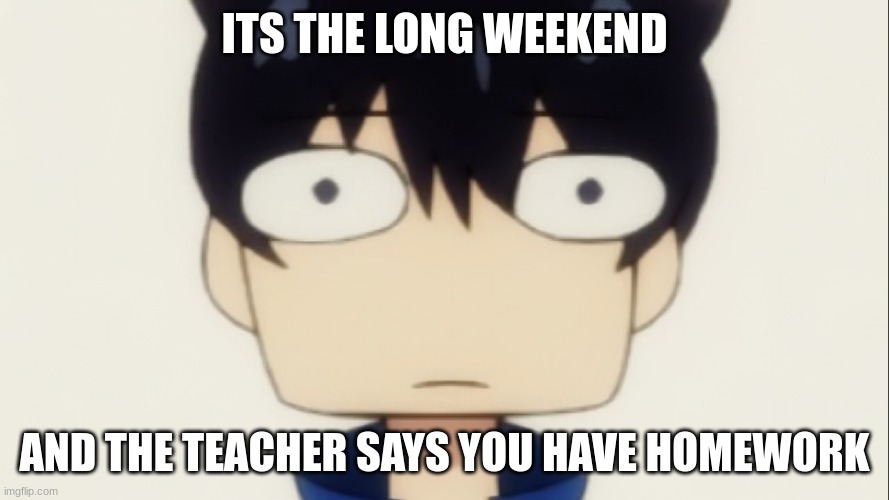 really | ITS THE LONG WEEKEND; AND THE TEACHER SAYS YOU HAVE HOMEWORK | image tagged in really | made w/ Imgflip meme maker