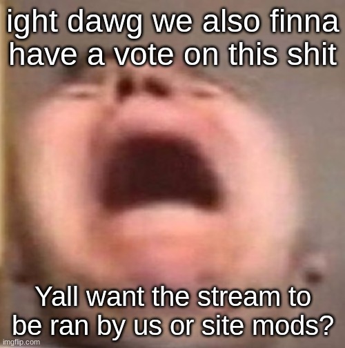 1 for us 2 for site mods (cherub note: 1) (void note: 1) | ight dawg we also finna have a vote on this shit; Yall want the stream to be ran by us or site mods? | made w/ Imgflip meme maker