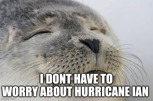 Satisfied Seal | I DONT HAVE TO WORRY ABOUT HURRICANE IAN | image tagged in memes,satisfied seal | made w/ Imgflip meme maker