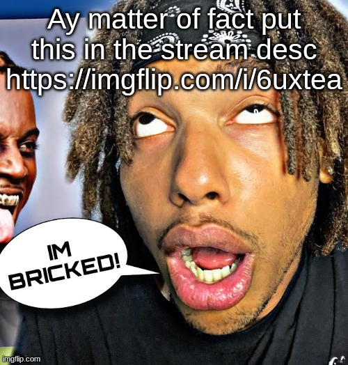 IM BRICKED! | Ay matter of fact put this in the stream desc
https://imgflip.com/i/6uxtea | image tagged in im bricked | made w/ Imgflip meme maker