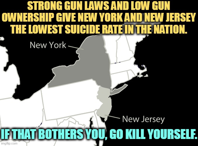 STRONG GUN LAWS AND LOW GUN OWNERSHIP GIVE NEW YORK AND NEW JERSEY THE LOWEST SUICIDE RATE IN THE NATION. IF THAT BOTHERS YOU, GO KILL YOURSELF. | image tagged in new york,new jersey,low,suicide,guns | made w/ Imgflip meme maker