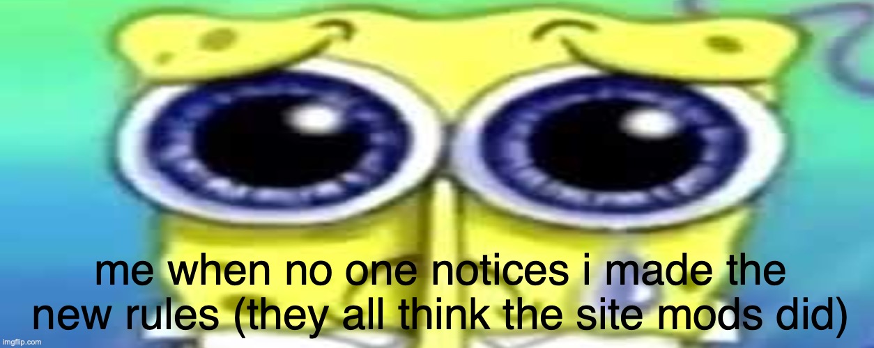 nerd emoji me idc | me when no one notices i made the new rules (they all think the site mods did) | image tagged in sad spong | made w/ Imgflip meme maker