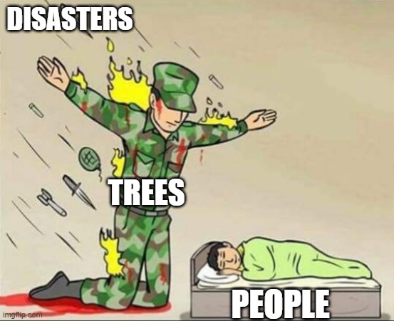 Gaurdian Trees | DISASTERS; TREES; PEOPLE | image tagged in soldier protecting sleeping child | made w/ Imgflip meme maker