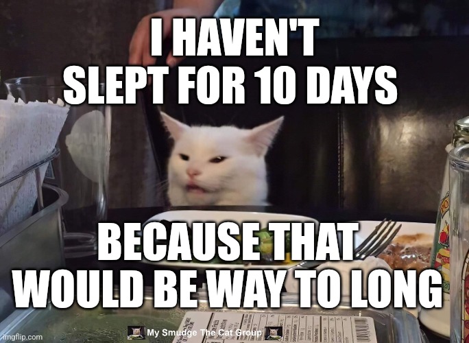  I HAVEN'T SLEPT FOR 10 DAYS; BECAUSE THAT WOULD BE WAY TO LONG | image tagged in smudge the cat | made w/ Imgflip meme maker