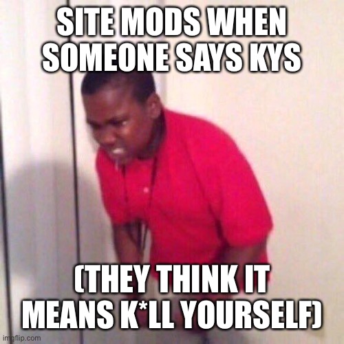 Angery Black kid | SITE MODS WHEN SOMEONE SAYS KYS; (THEY THINK IT MEANS K*LL YOURSELF) | image tagged in angery black kid | made w/ Imgflip meme maker